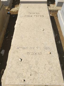 תמונת מצבה