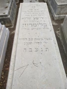תמונת מצבה
