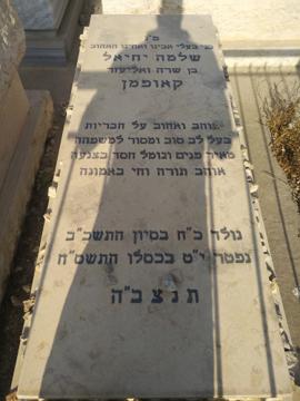 תמונת מצבה
