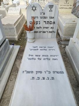 תמונת מצבה