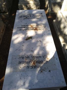תמונת מצבה