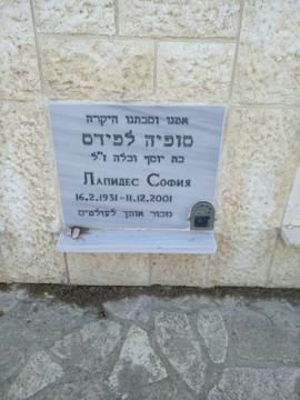 תמונת מצבה