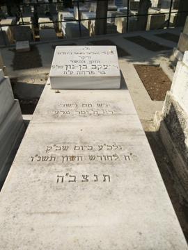 תמונת מצבה
