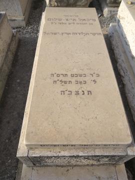 תמונת מצבה