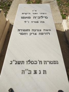 תמונת מצבה