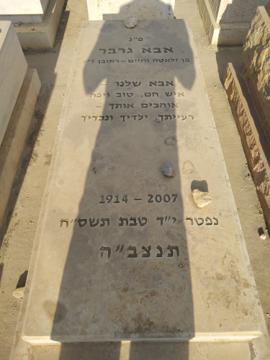 תמונת מצבה