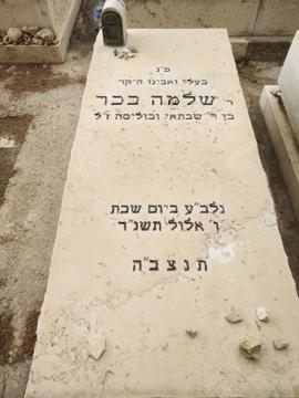 תמונת מצבה