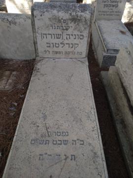 תמונת מצבה