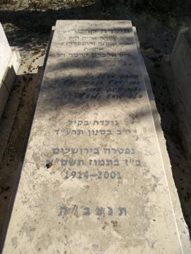 תמונת מצבה