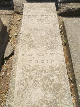תמונת מצבה