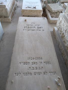 תמונת מצבה