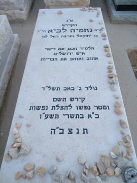 תמונת מצבה