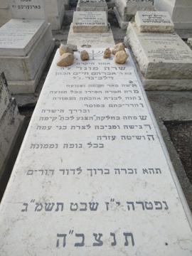 תמונת מצבה