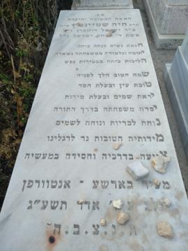 תמונת מצבה