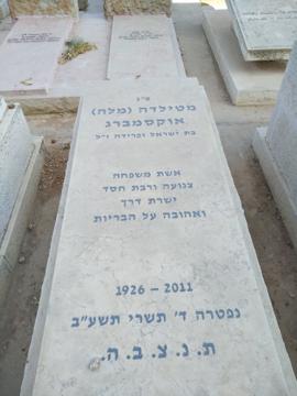 תמונת מצבה