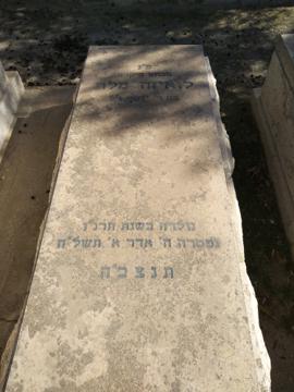 תמונת מצבה