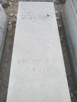 תמונת מצבה