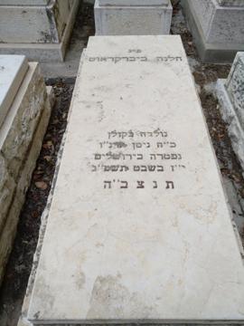 תמונת מצבה