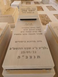 תמונת מצבה