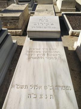 תמונת מצבה