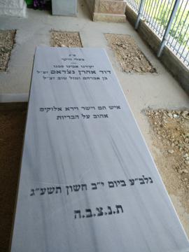תמונת מצבה