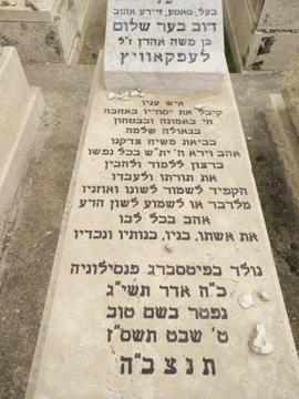 תמונת מצבה