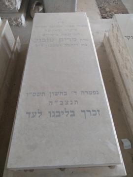 תמונת מצבה
