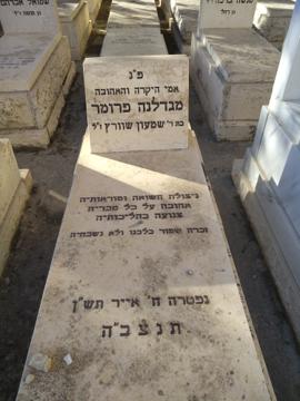 תמונת מצבה