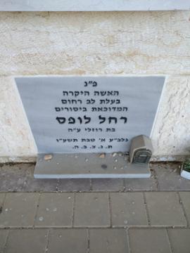 תמונת מצבה