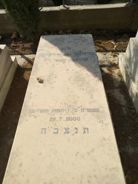 תמונת מצבה