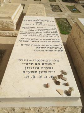 תמונת מצבה