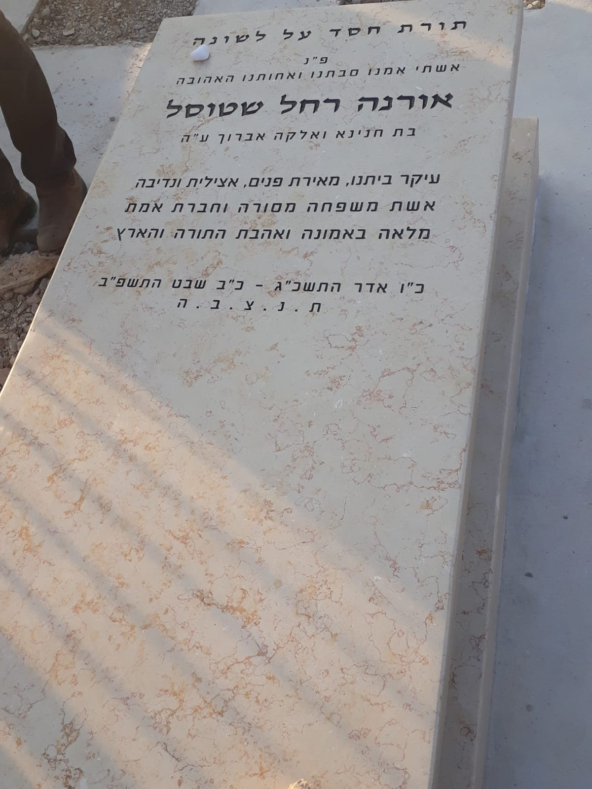 תמונת מצבה