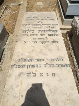 תמונת מצבה