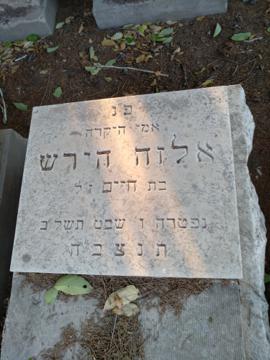 תמונת מצבה