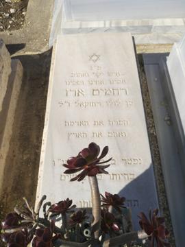 תמונת מצבה
