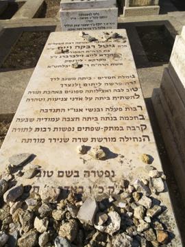 תמונת מצבה