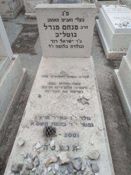 תמונת מצבה