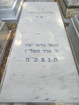 תמונת מצבה