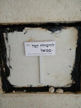 תמונת מצבה