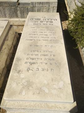 תמונת מצבה