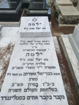 תמונת מצבה