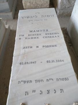 תמונת מצבה