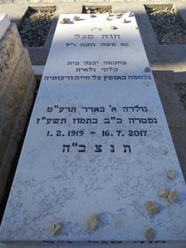 תמונת מצבה