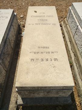 תמונת מצבה