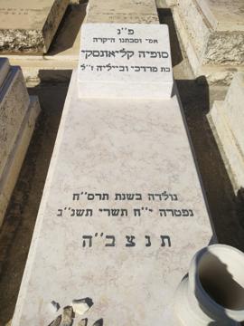 תמונת מצבה
