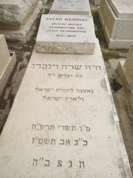 תמונת מצבה