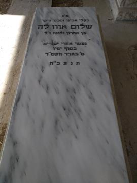 תמונת מצבה