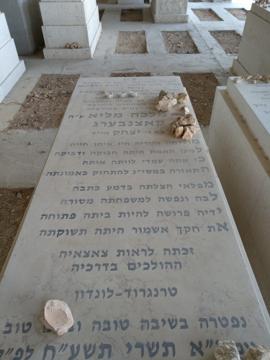 תמונת מצבה