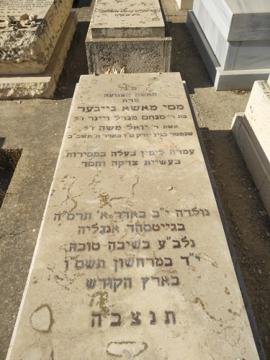 תמונת מצבה