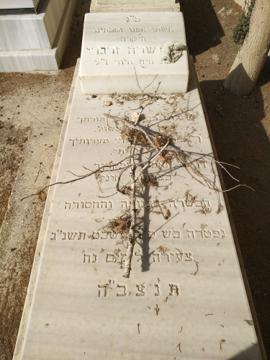 תמונת מצבה